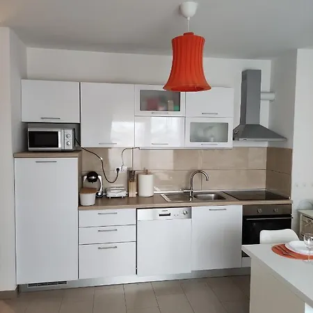 Apartment Dana * 普拉