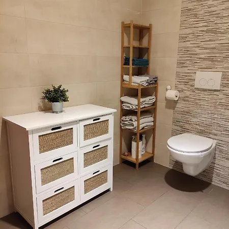 公寓 Apartment Dana 普拉